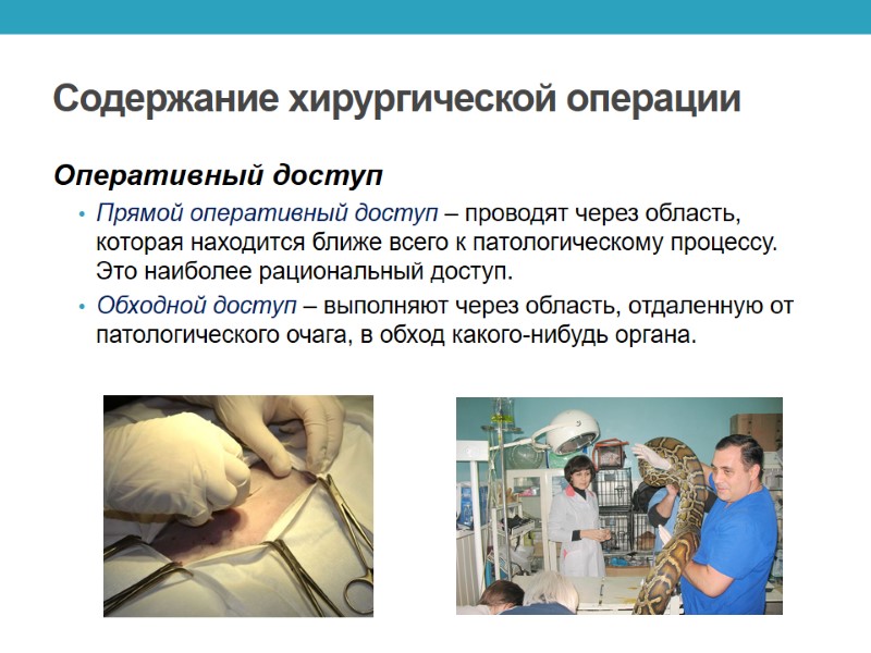 Содержание хирургической операции Оперативный доступ Прямой оперативный доступ – проводят через область, которая находится